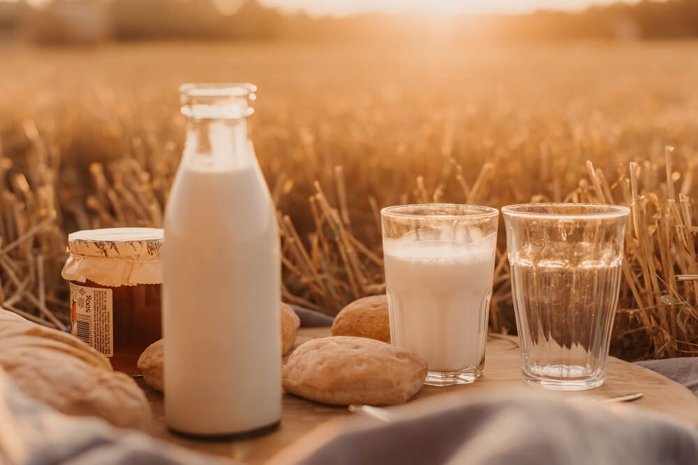 Sind Milchprodukte wichtig für eine gesunde Ernährung?